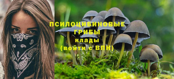дживик Алексеевка